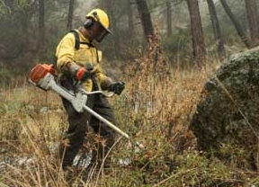 Las obras forestales generan en Andalucía más de 9.000 puestos de trabajo