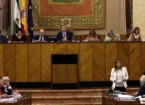 El Parlamento andaluz, por debajo de la media en transparencia, según estudio