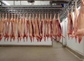 Abierto el plazo para pedir ayudas al almacenaje privado de carne de porcino