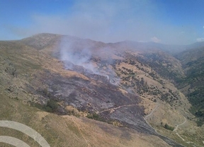 Estabilizado de nuevo el incendio forestal en Güéjar Sierra