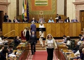 PSOE e IU se olvidan de la 'transparencia' y rechazan la comisión de investigación que pedía el PP-A sobre la Faffe