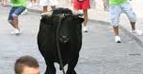 Carcabuey celebra el segundo Toro de Cuerda por las Fiestas del Castillo
