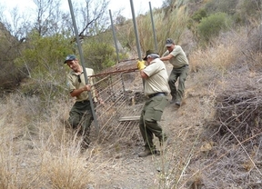 Retiran una jaula para la caza furtiva en el Parque de Cabo de Gata