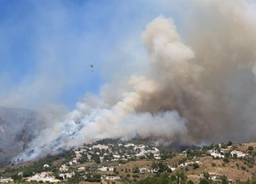 Estabilizado el incendio forestal de Cómpeta