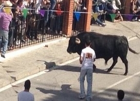 Arcos, Benamahoma, Los Barrios, Paterna y Vejer celebran con toros el Domingo de Resurrección