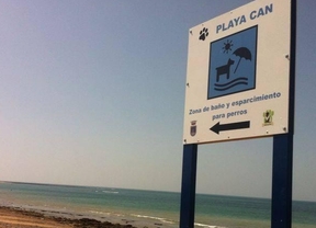 Deniegan una playa para perros en Rota en temporada alta