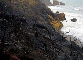Un incendio calcina el entorno de la playa de La Caleta de Maro, en Nerja
