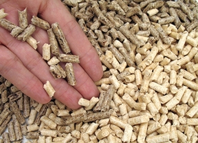La biomasa producida en Andalucía cubriría consumo energía de 834.000 personas