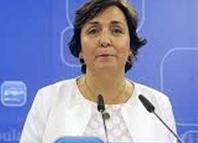 El PP-A pide a Susana Díaz una "rebajita fiscal" en Andalucía