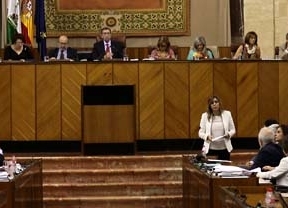 El Parlamento debatirá sobre recurrir al TC contra la reforma local