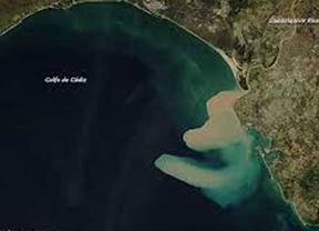 Descubren por primera vez grandes bancos de mejillones quimiosintéticos en el Golfo de Cádiz