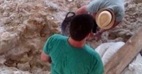 El equipo de arqueólogos de Orce retoma las excavaciones en Venta Micena