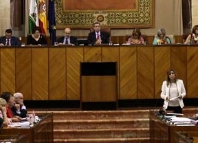 PP-A pide en el Parlamento que la Junta elimine las "exceptuaciones discrecionales" en materia de ayudas y subvenciones