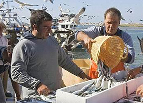 Los pescadores de boquerón de Punta Umbría se reparten equitativamente capturas