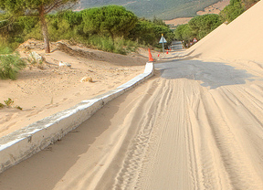 Verdemar denuncia ante el Ministerio posibles incumplimientos en la retirada de arena de la duna de Valdevaqueros 