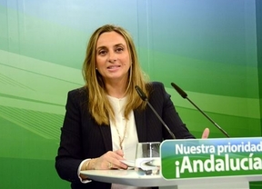 El PP-A pide agilizar obras en colegios para "no perder ni un euro de fondos UE"