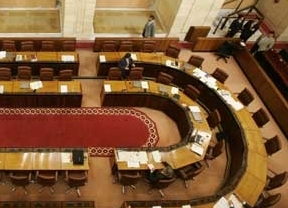 El Parlamento contará con 63 'caras' nuevas en la X legislatura