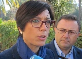 El PSOE-A aboga por una estrategia europea contra la Hepatitis C