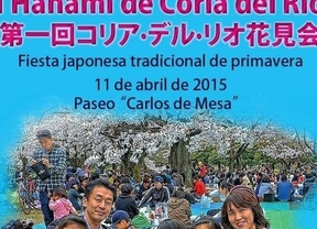 Coria celebra entre los cerezos plantados por Naruhito la tradicional fiesta japonesa del Hanami