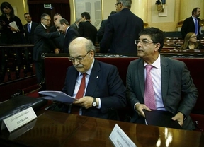 Frente común de Andalucía, Cataluña, Asturias y Canarias contra la reforma local en el Senado 