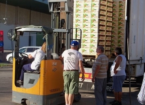 El Banco de Alimentos de Córdoba reparte cerca de 20.000 kilos de melocotones y nectarinas de Lleida