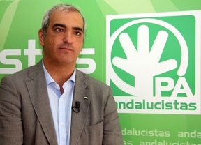 Ruiz (PA), "optimista" ante la reflexión de Rajoy sobre elección directa de alcaldes y reducción del número de aforados
