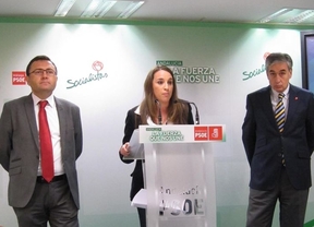 Andalucía pedirá la suspensión cautelar de la Lomce en el recurso al TC
