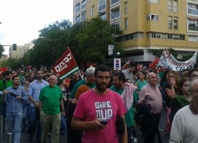 Decenas de miles de manifestantes en las capitales andaluzas contra la Lomce y los recortes  