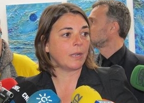 Fomento cifra en 28 millones el "hurto" por el retraso del Plan de Vivienda