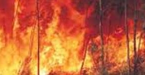 Más de 100 efectivos trabajan en la extinción del fuego en Almonaster