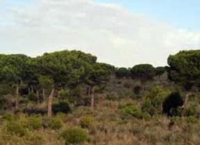 Asaja-Sevilla elabora un reportaje con agricultores como protagonistas para explicar la convivencia con Doñana