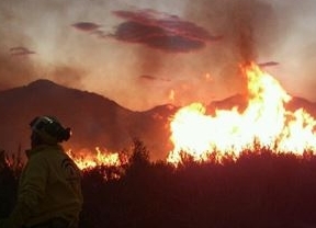 El incendio de Lucainena arrasa unas 2.400 hectáreas de matorral