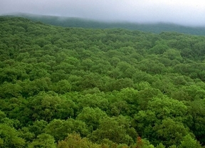 El TSJA anula el decreto de la Junta que regula los usos de los parques naturales