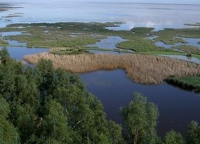 La Unesco analiza el "impacto potencial" de Aznalcóllar y el dragado sobre Doñana