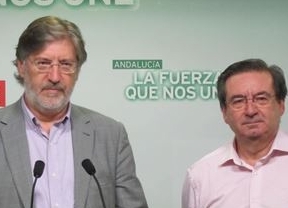 Pérez Tapias ve "decisivo" el apoyo andaluz, que "suma cualitativamente"