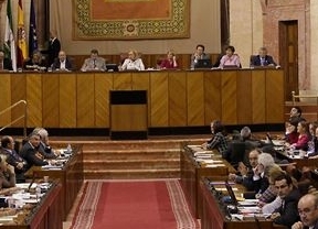 El Parlamento rechaza cualquier consulta al margen de la Constitución