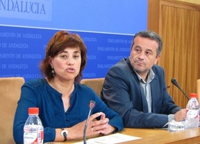 IULV-CA sólo plantearía una comisión de investigación como 'último recurso'
