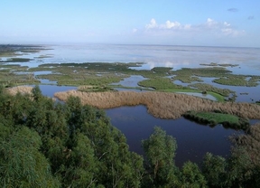 WWF denuncia ante la Unesco las amenazas "crecientes" para el Parque Nacional de Doñana