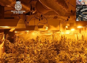 Diez detenidos en Granada con cuatro plantaciones 'indoor' de marihuana