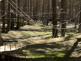 El Ayuntamiento de Soria organiza ‘Conoce tus Bosques’