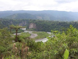 Plan de Ecuador para evitar extracción de crudo en Amazonia