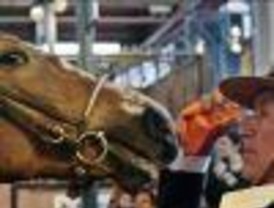 Récord histórico de visitas en la Rural