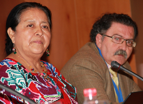 Piden una regulación que atienda a los indígenas