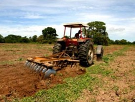 Acuerdan condiciones y plazos de créditos al sector agrícola