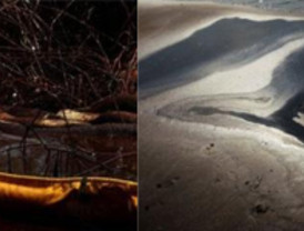 BP consigue, al fin, parar el escape de petróleo