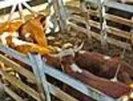 El gobierno y el campo, más cerca de un nuevo acuerdo por la carne