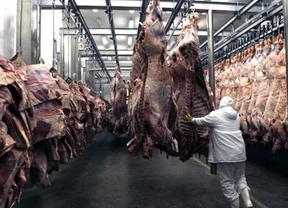 Crecen la producción, el consumo y la exportación de carne argentina