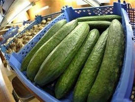Los transportistas cifran en más de 100 millones las pérdidas por el pepino