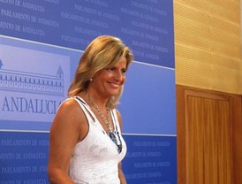 El PP-A enviará al Tribunal de Cuentas los informes internos realizados por la Consejería de Empleo sobre los ERE