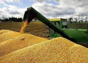 Exportadores responsabilizan a los productores por especular con los granos